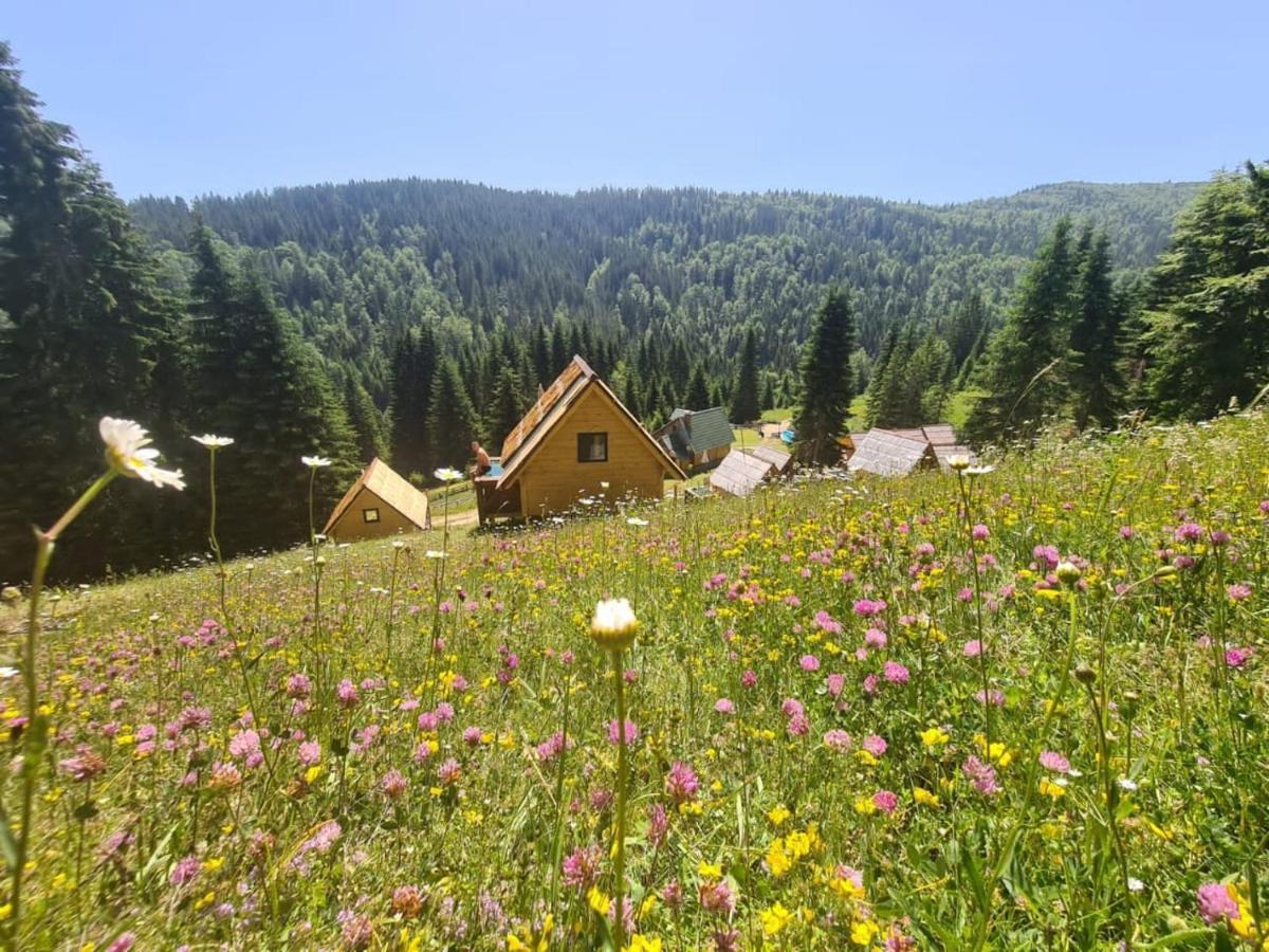 Eko Katun Jelovica