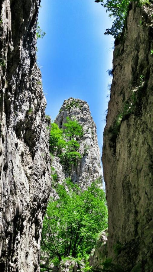 Campsite Eko Katun Jelovica *